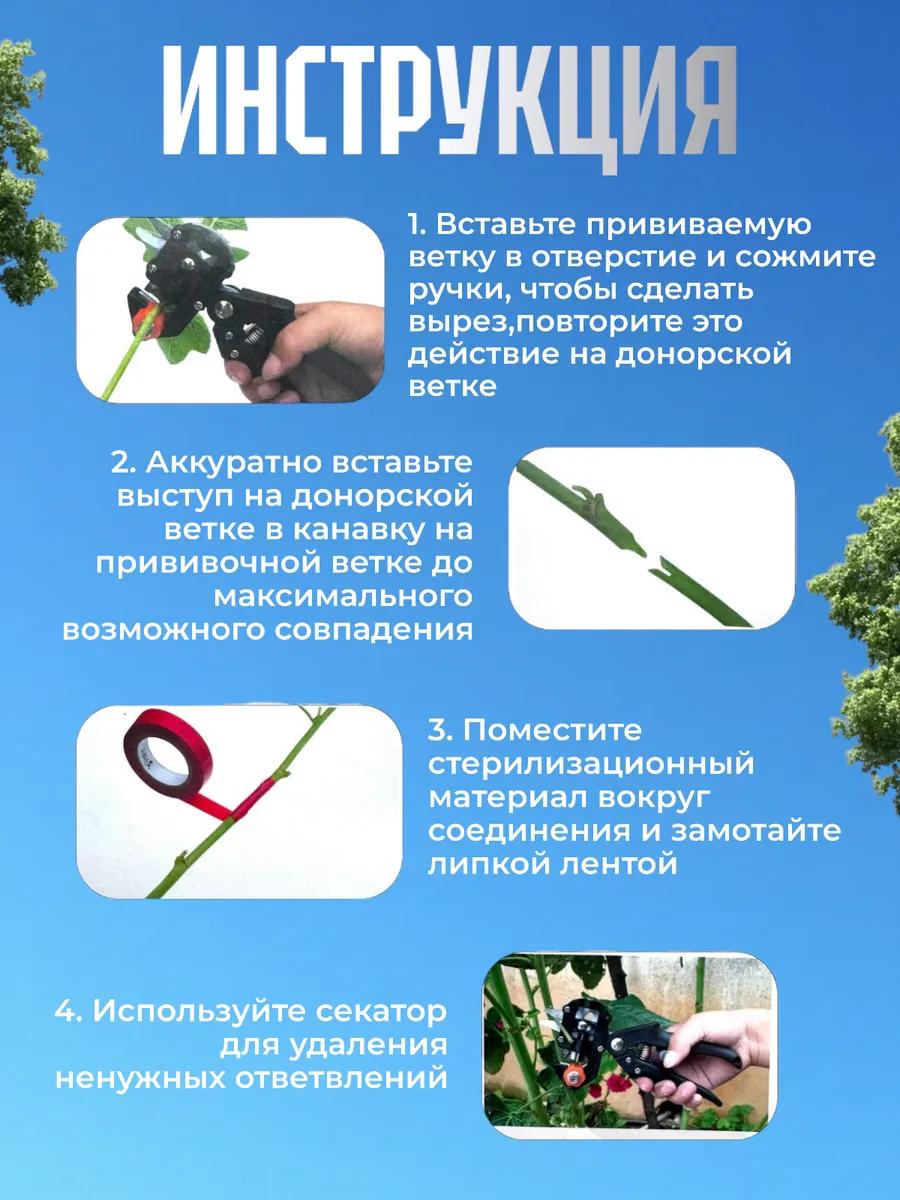 Описание 3